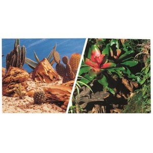 Poster D.F.Terrario 7.5mx30cm
