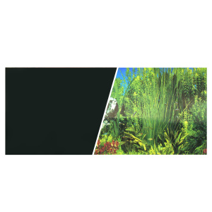 Póster D.F. Plantas/prt 7,5mtx45cm