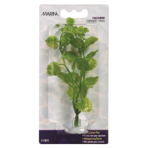 Planta 10cm Marina Cardamine blister