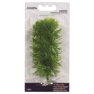 Planta 10cm Marina Hornwort-blister