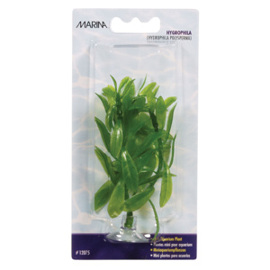 Planta 10cm Marina Hygrophilia-blister