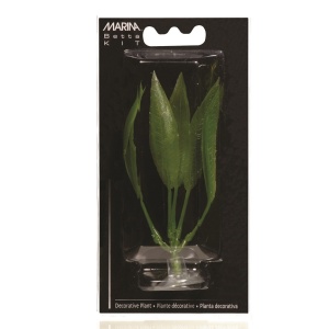 Planta 10cm Marina Amazon Sword-blister