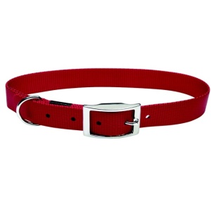 Collar nylon liso rojo 19,1mmx61cm