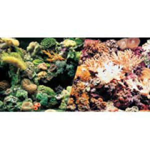 POSTER DOBLE CARA A. SALADA 15MTX30CM
