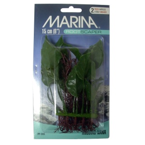 Planta 15 cm Anubias-2 und