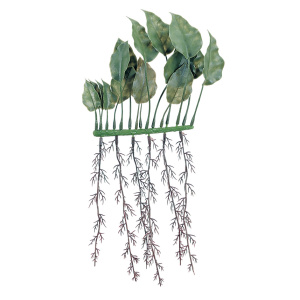 Planta 20 cm Anbulia 20cm - 2 und