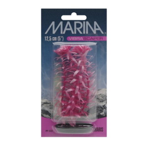 Planta 12,5 cm Anacharis - blister