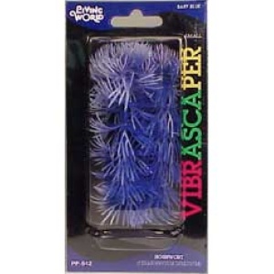 Planta 12,5 cm Hornwort - blister
