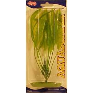 Planta 20 cm Amazon Sword - blister