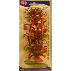 Planta 20 cm Red Ludwigia - blister