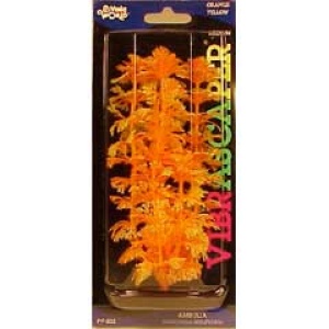 Planta 20 cm Ambulia - blister
