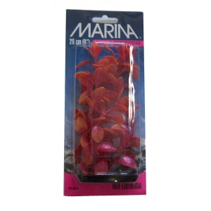 Planta 20 cm Red Ludwigia - blister